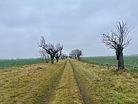 Hrnčiarovce nad Parnou