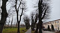 Jičín