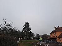 Olešná