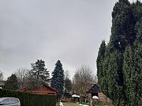 Olešná