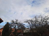 Olešná