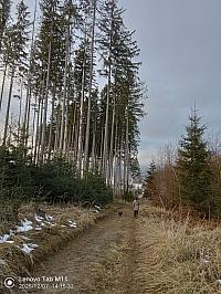 Čadca