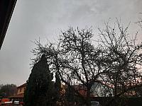 Olešná