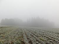 Němčice Zhoř