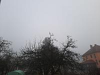 Olešná