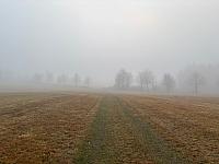 Svratka