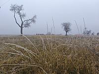 Lukovany
