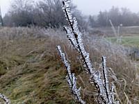 Třebíč-Borovina