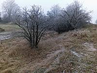 Třebíč-Borovina