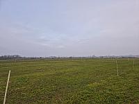 Císařov