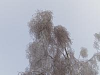 Třebíč-Borovina