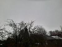 Olešná
