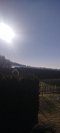 Benešov u Boskovic