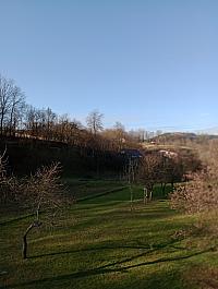 Hvozdnica