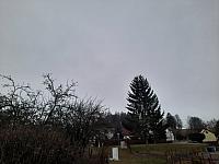 Olešná