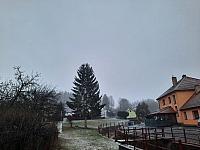 Olešná