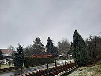 Olešná