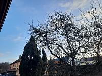 Olešná