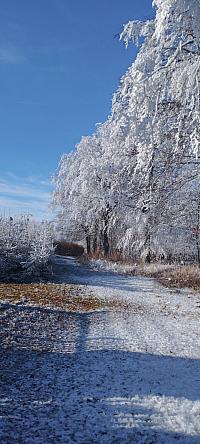 Benešov u Boskovic