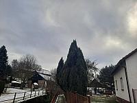 Olešná