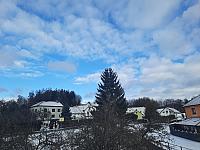 Olešná