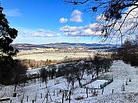 Jarcová