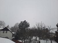 Olešná