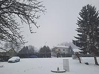 Olešná