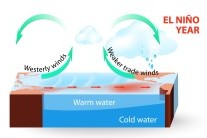 El Niño sílí. Ve světě může zvýšit riziko extrémů, v Evropě je jeho vliv méně přímočarý