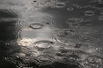 Přišla Medardova kápě, podle pranostik může pršet i 40 dní