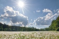 V příštím týdnu se do Česka vrátí tropické teploty. Podívejte se na mapu